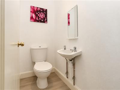 Picture 13